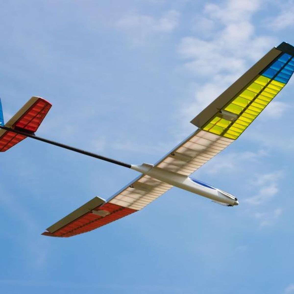 Topmodel Agama 2.35m